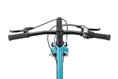 NALOO Chameleon 20", Mk2.1, 8-Speed, Light Green Produktbild 2