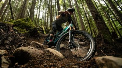 Trek Top Fuel 8 ML Matte Dark Web Produktbild 9