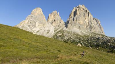 Trek Powerfly FS4EQ EU L 29 Pennyflake/Black Olive Produktbild 9