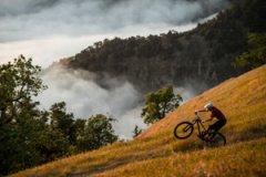 Kategorie Mountainbikes