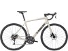 Trek Domane AL 2 54 Gloss Supernova