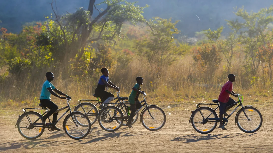 Buffalo Bikes Africa